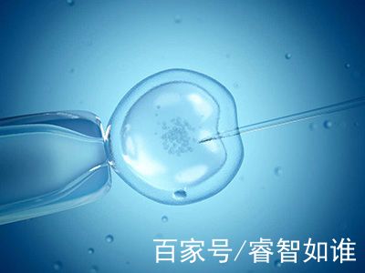 遗传咨询